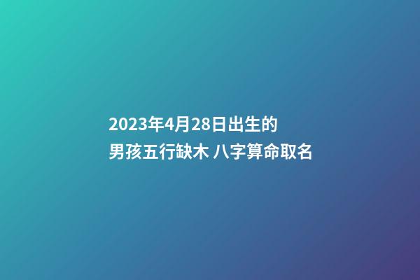 2023年4月28日出生的男孩五行缺木 八字算命取名